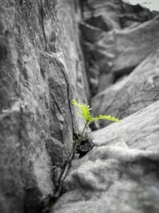 resilienz training berlin deutschland